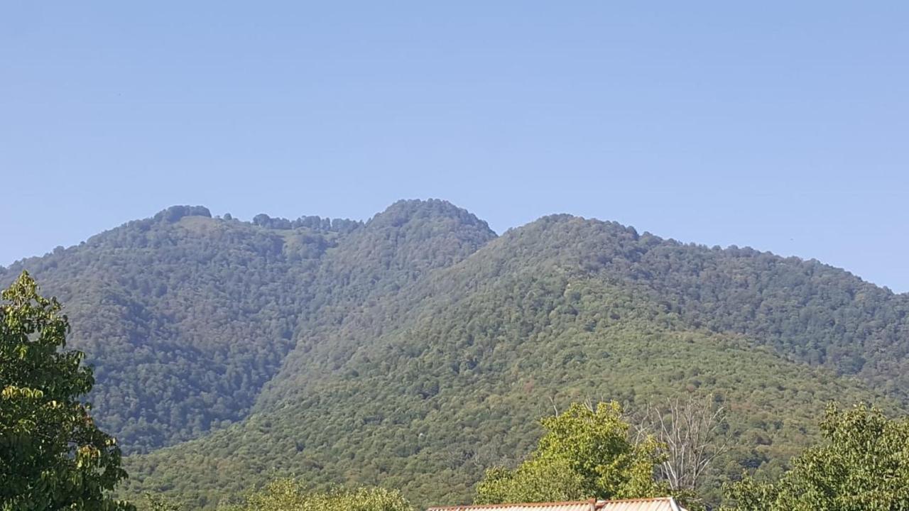 Viva Hotel Gabala With Sauna, Pool, Waterfall And Fireplace Exterior foto